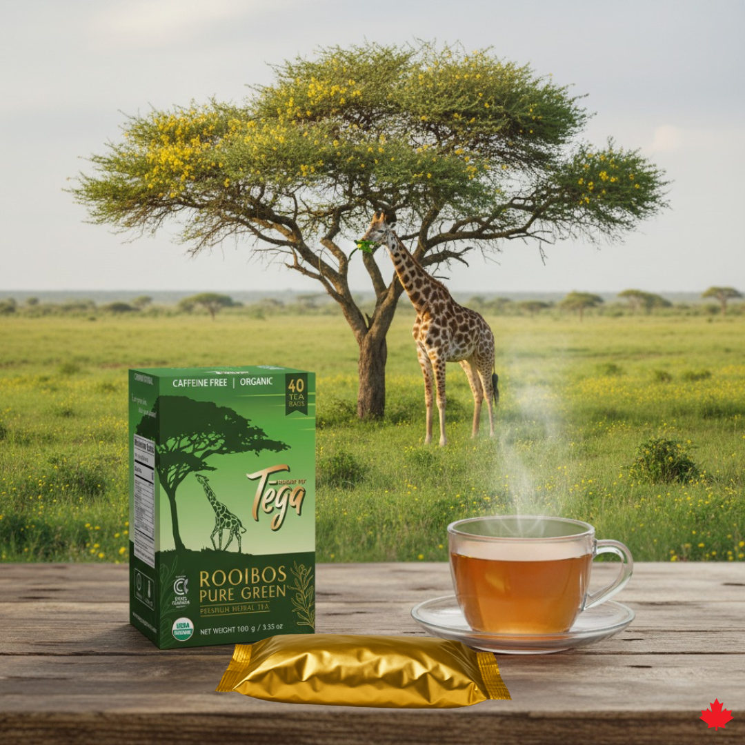 Green Rooibos Value Pack 40ct | Organic